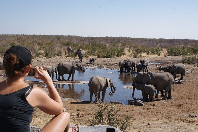 12 Day Classic Namibia Camping Safari - Mount Etjo and Etosha National Park: rhinos, waterholes, and early mornings