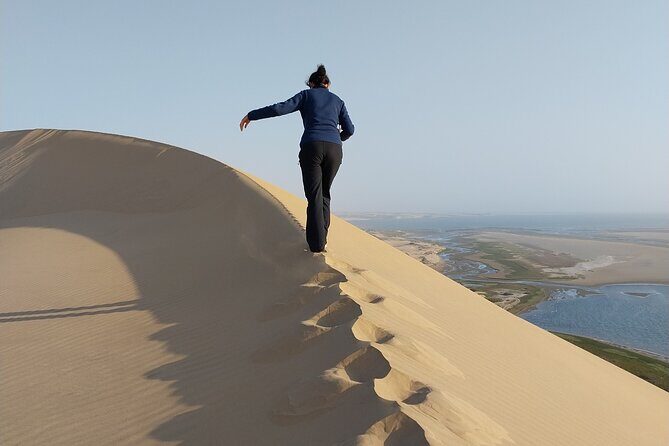 2 Days Guided Tour in Sossusvlei and Sandwich Harbor - Key highlights to expect on this 2-day dune-and-coast tour