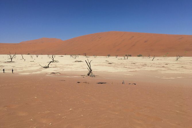 3 Day Camping safari at Sossusvlei - Key highlights worth knowing before you go