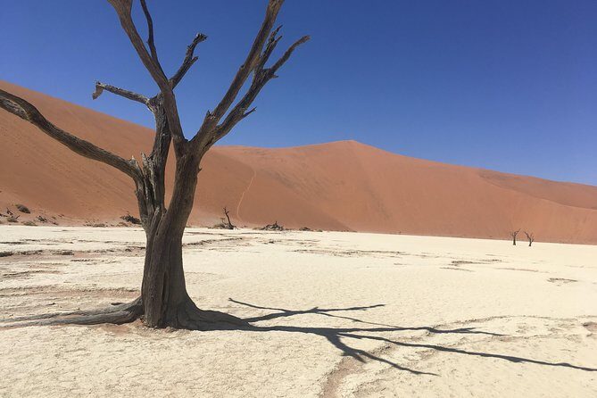 3 Day Camping safari at Sossusvlei - What kind of traveler this 3-day plan suits best