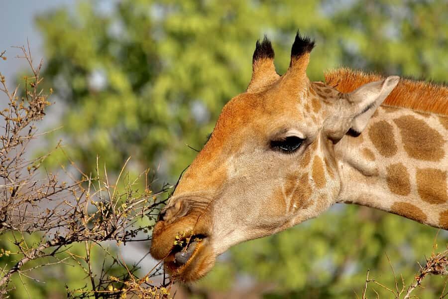 3 day Sossusvlei Camping - Key highlights worth your time