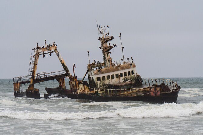 7 Day Northern Namibia and Skeleton Coast Camping Safari - Skeleton Coast Camping: Cape Cross Seals and the Zeila Shipwreck