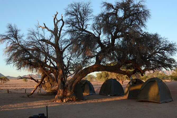 7 Day Southern Namibia and Sossusvlei Camping Safari - Kolmanskop and Luderitz: the diamond boom that ended in silence