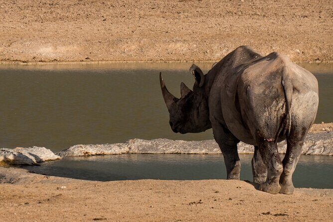 7 Day Taste of Namibia Lodging Safari - Damaraland on the road to the Skeleton Coast region
