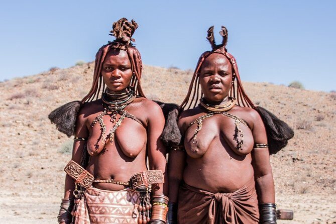 9 Day Etosha, Skeleton Coast and Sossusvlei Camping and Lodge Safari - Days 2–3 in Etosha: waterholes, sunrise drives, and the rhythm of big cats