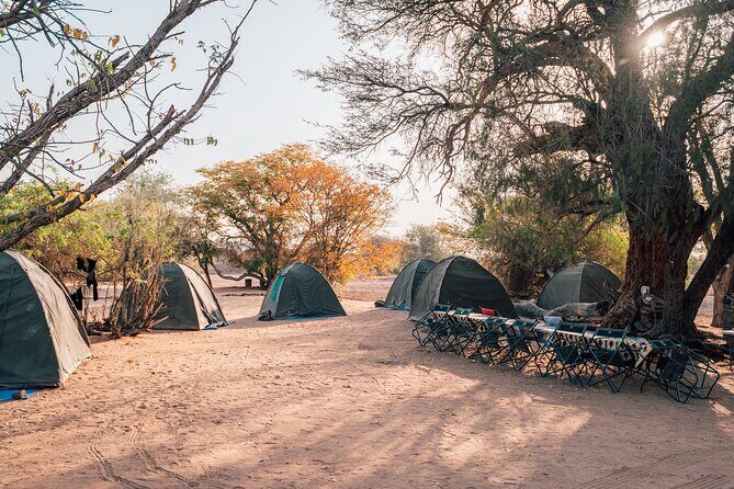 9 Day Etosha, Skeleton Coast and Sossusvlei Camping and Lodge Safari - Day 5: Skeleton Coast to Cape Cross—fog, shipwrecks, and seal-breeding vibes