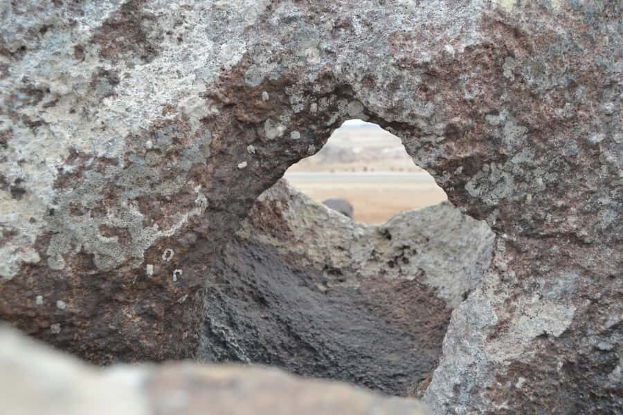 Cape Cross and Henties Bay Guided Tour SkeletonCoast Namibia - Price and Value: Is $202 a Fair Deal for This Route?