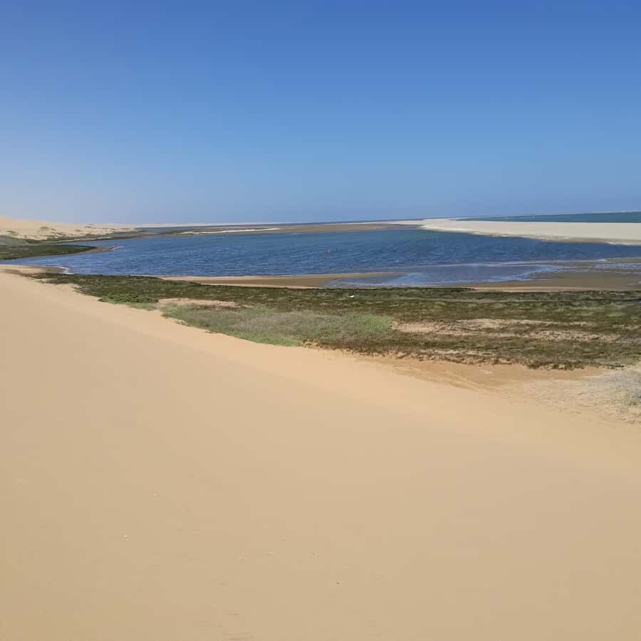 Catamaran Dolphin Cruise and Sandwich Harbour Tour - The guides make a difference on this one
