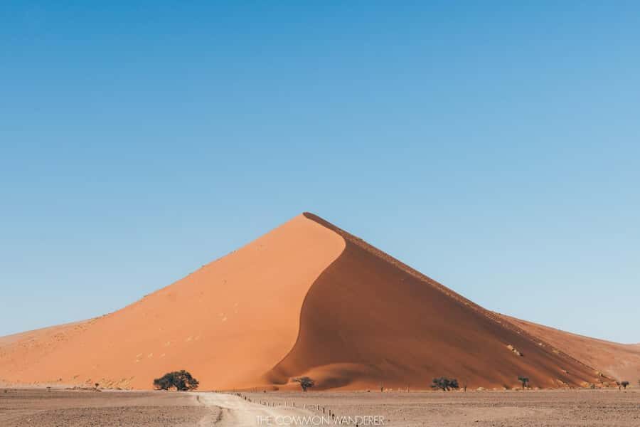 From Windhoek: 3-Day Sossusvlei Shared Shuttle Tour - Day 2: the dune climb day, plus Deadvlei’s salt-pan surrealism