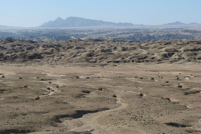 Full-Day Tour in Namib Desert from Swakopmund, Namibia - The Picnic Lunch Break: A Desert Day Needs a Real Pause