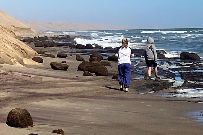 Full Day Tour Shipwreck Sandwich Harbour Adventure - Price and value: what you’re paying for at $340.62