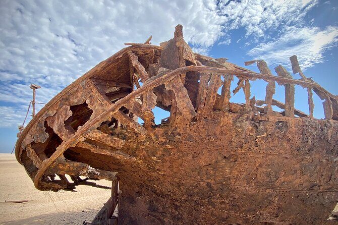 Full Day Tour Shipwreck Sandwich Harbour Adventure - Best for: who will enjoy this the most