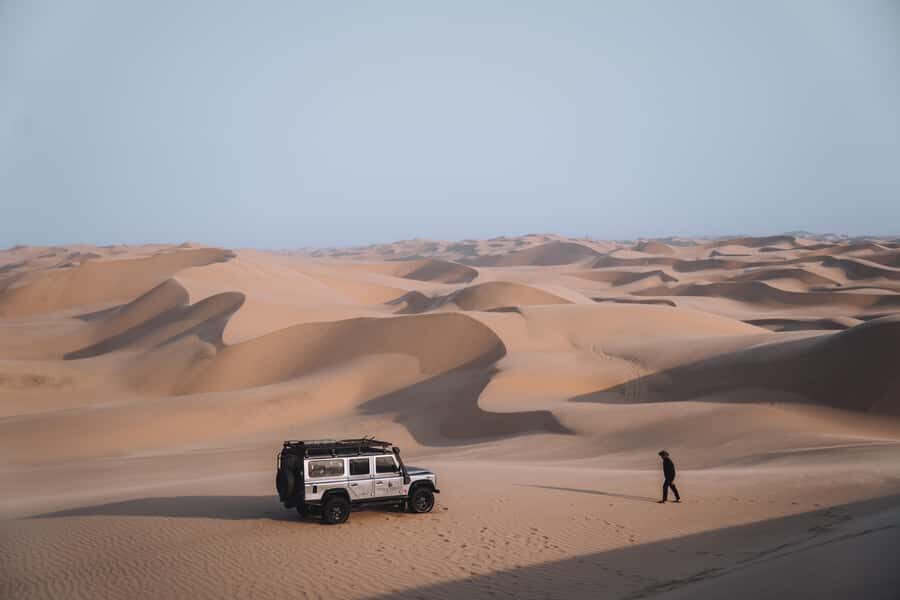 Kayak Dune Day - Price and Value of a $389 8-Hour Seal-and-Dune Day