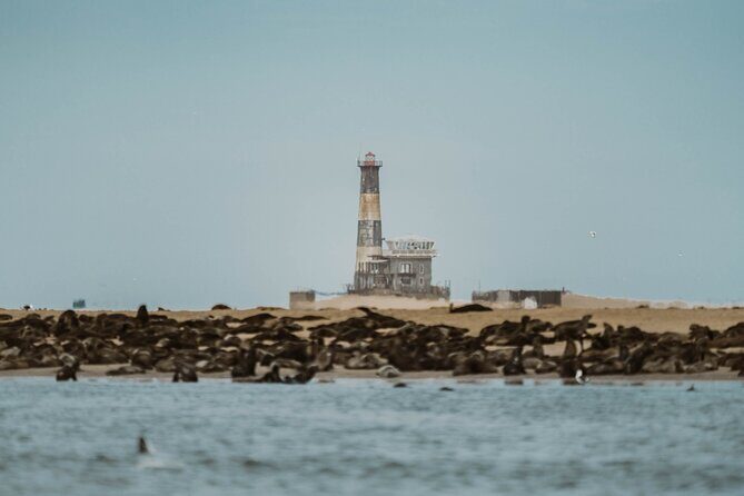 Mola Mola Marine Dolphin Cruise & Beach Braai on Pelican Point - The guide and crew: why service matters on a boat tour