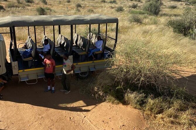 Predator Encounter: Half-Day Carnivore Feeding Windhoek - The sanctuary setting: ambassador animals and what it means