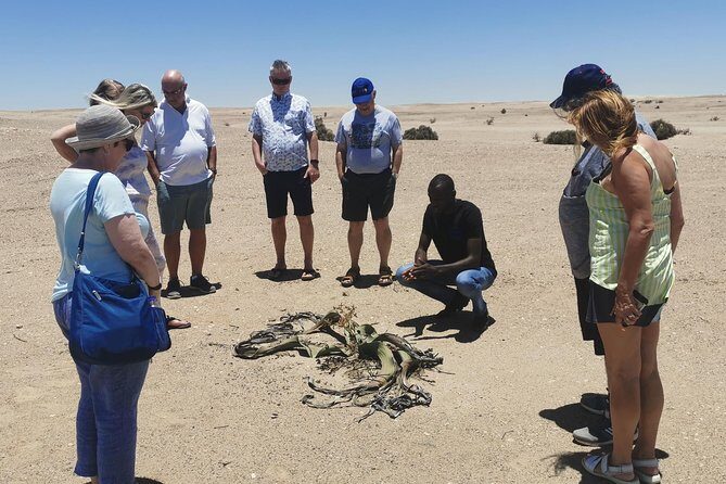Private Half Day Coast Tour of Walvis Bay and Swakopmund City - Key things to know before you go