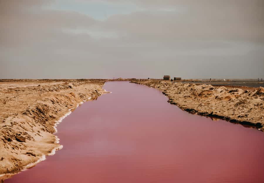 Sandwich Harbour 4x4 Guided Tour - The Walvis Bay Salt Works and Pink Lakes Stops: More Than Just a Selfie Moment