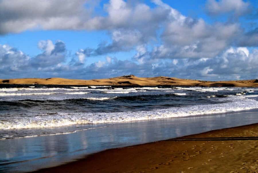Sandwich harbour r Kayak and dune tour - The Guide Factor: Local Knowledge That Makes Wildlife Easier to See