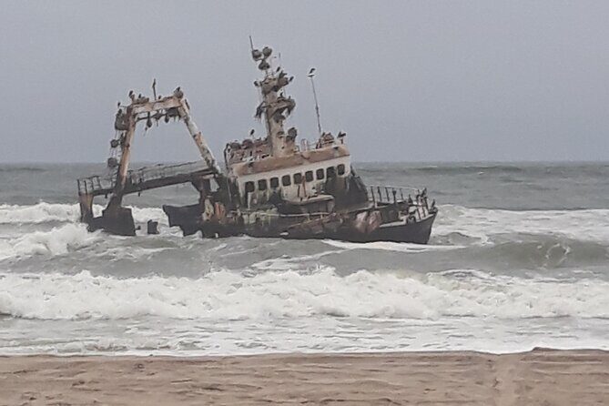Skeleton Coast Cape Cross Seal colony Tour - Price and What Makes It Feel Like Good Value