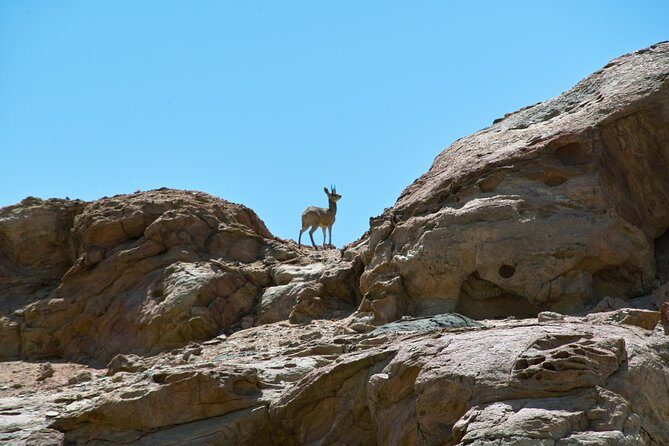 Swakop River Valley & Spitzkoppe Full Day 4x4 tour from Walvis Bay - Pickup in Walvis Bay and how the 8-hour day is paced