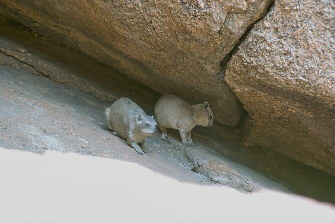 Swakop River Valley & Spitzkoppe Full Day 4x4 tour from Walvis Bay - Dorob National Park: open air and wide views (about 1 hour)