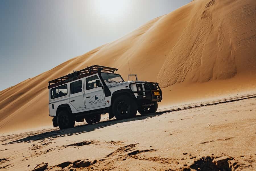 Walvis Bay: Dolphin Cruise, Pink Lakes and 4x4 Dune Drive - Key highlights you’ll feel in your day