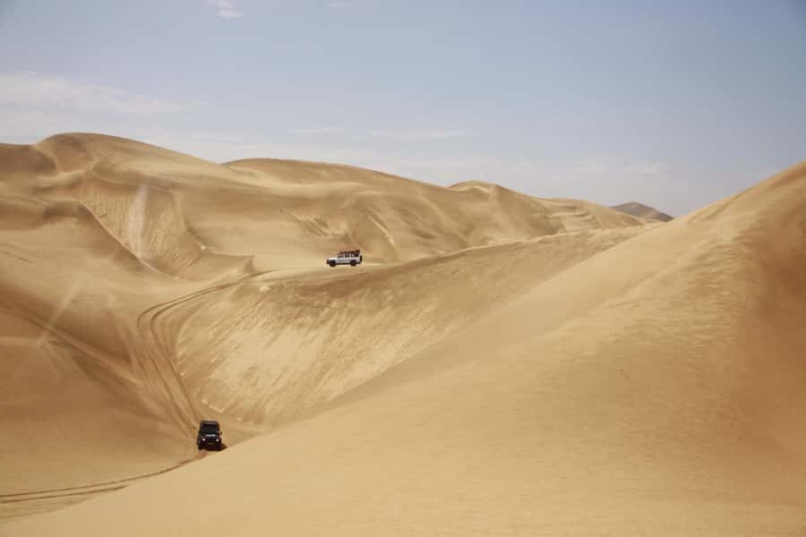 Walvis Bay: Dolphin Cruise, Pink Lakes and 4x4 Dune Drive - Price and value: $385 for an 8-hour wildlife-and-dunes day